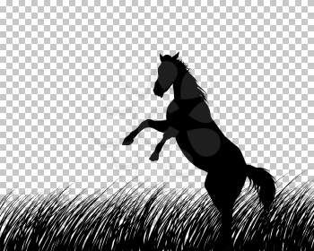 Horse silhouette on Grass With Transparency Grid Background. Vector Illustration.