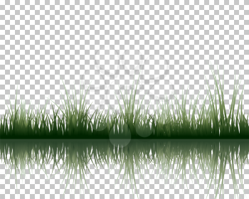 Vector grass silhouettes background with reflection in water. All objects are separated.