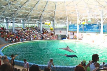Spectators on representation in the dolphinarium Eupatorium. Ukraine
