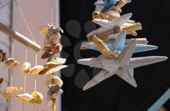 Sea shells and wooden sea stars in marine souvenir shop in Zandvoort, the Netherlands