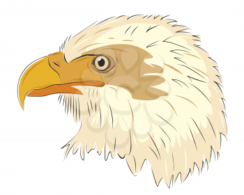 Royalty Free Clipart Image of a Eagle Head on White Background