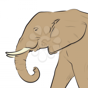 Royalty Free Clipart Image of a Drawing of an Elephants Head on White Background