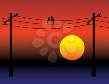 Royalty Free Photo of Birds on  Wire at Sunset