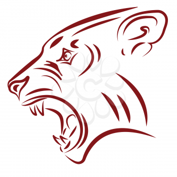 aggressive wildcat fangs tattoo vector illustration