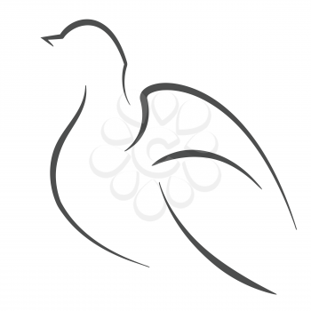 Dove bird outline. Vector symbol illustration.