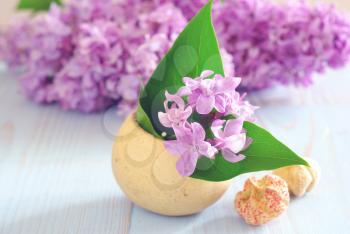 Spring purple lilac flower still life horizontal background. Blooming romance decoration macro template.