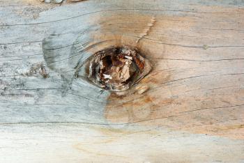 Old aged wooden plank. Grunge natural wood background. Rough panel closeup. Macro wood background.Abstract eye symbol