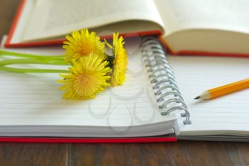 Yellow flowers on open notepapers Happy Teachers Day greeting image. Dandelion flowers spring celebration. School study book and notes pencil.