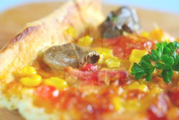 Mushroom tomato vegetable ingredients meal. Hot pizza with spice leaf traditional food. Baked snack homemade eating. Green herb cooking closeup. 