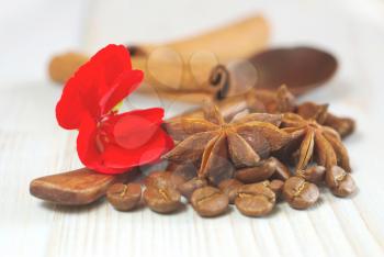 Coffee grains with anise star, red flower blossom and cinnamon sticks with wooden spoon on vintage  table food ingredients background. Selective focus. Aroma coffee drink ingredients