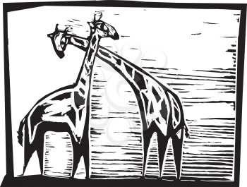 Royalty Free Clipart Image of Giraffes