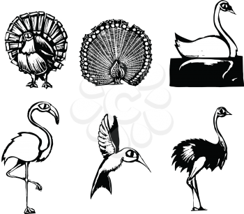 Royalty Free Clipart Image of a Set of Different Birds