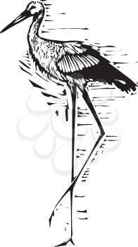 Woodcut style expressionist image of a very tall stork