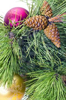 Royalty Free Photo of a Decorated Pine Branch