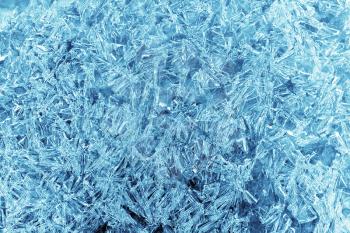Royalty Free Photo of Ice Crystals