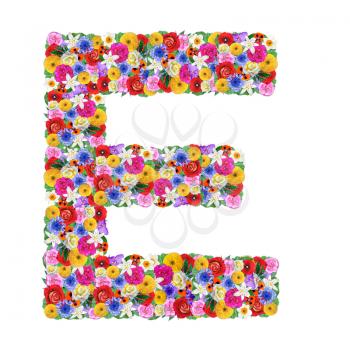 E, letter of the alphabet in different flowers isolated on white background