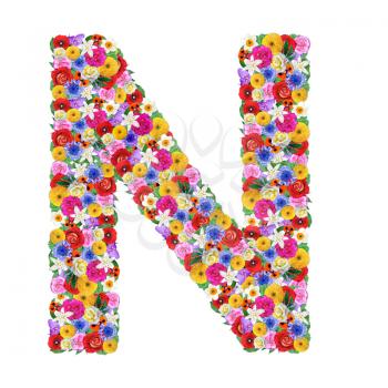 N, letter of the alphabet in different flowers isolated on white background