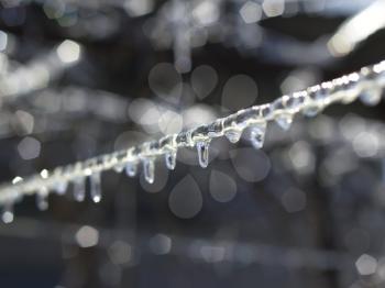 Royalty Free Photo of an Ice Covered Clothesline