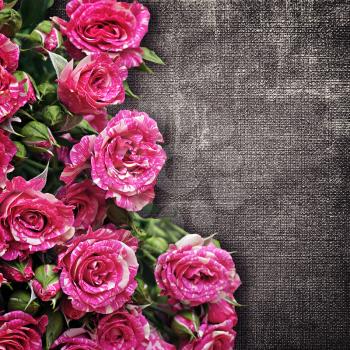 bouquet of pink roses on a dark fabric background 
