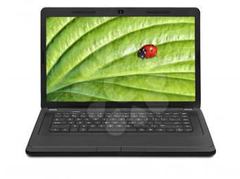 Ladybug on laptop screen isolated on white background on laptop screen isolated on white background
