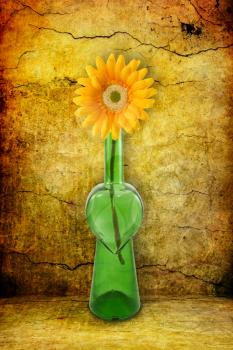 Royalty Free Photo of a Flower in a Bottle