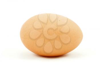 Royalty Free Photo of an Egg