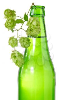 Green bottle of beer and branch of hop. Isolated on white 
