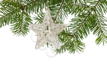 Christmas silver star on the fir branch, isolated over white background