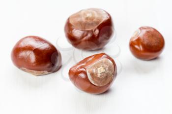 Fruit chestnut on a white wooden background