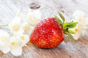 Single strawberry and white flowers on wooden background