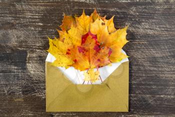 Colorful autumn leaves and open envelop on wooden background