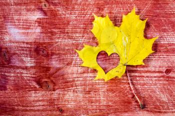 Yellow maple leaf with heart shape on the red wooden background