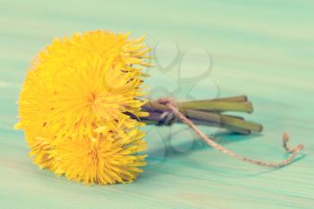 Bunch of yellow dandelion flowers tied with rope.Filtered image.