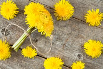 Yellow dandelion flowers on wooden background with copy-space