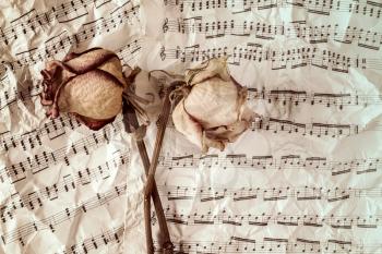 Dried roses on music sheets background