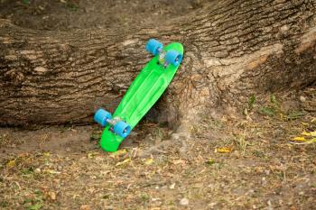Abandoned green skateboard leaning against tree