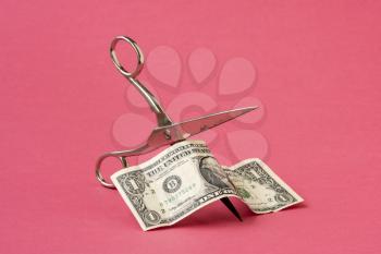 Cutting one dollar with scissors on pink background. Concept on the topic of devaluation of money. 
