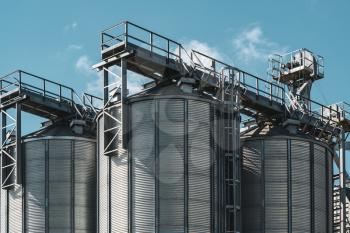Metal silo towers. Storage and drying of grains, wheat, corn, soy, sunflower.