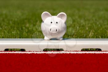 Piggy bank in the stadium. Money and sports business concept