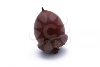 Dark acorn isolated on white background