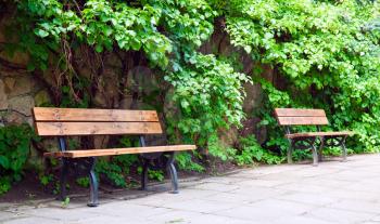Two benches in park near the wall