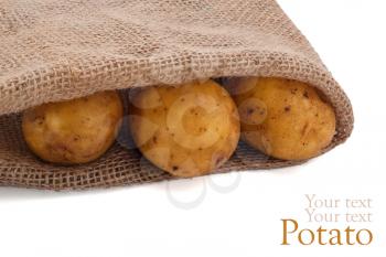 Potato in sack on white background