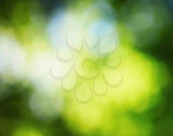 Abstract nature background with sun light, selective focus