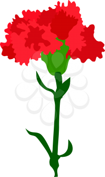 Royalty Free Clipart Image of a Carnation