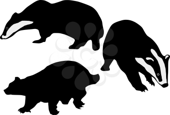 Royalty Free Clipart Image of a Badger Silhouette