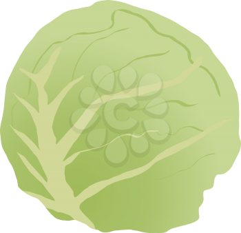 Royalty Free Clipart Image of a Cartoon of a Whole Cabbage