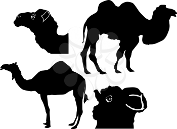 Royalty Free Clipart Image of Camel Silhouettes