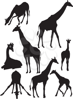 Royalty Free Clipart Image of a Cartoon Silhouettes of a Giraffe