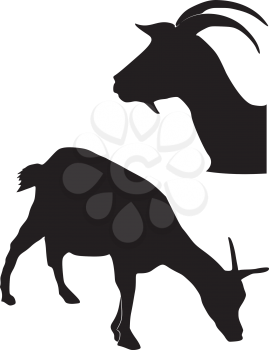 Royalty Free Clipart Image of Silhouette Goats