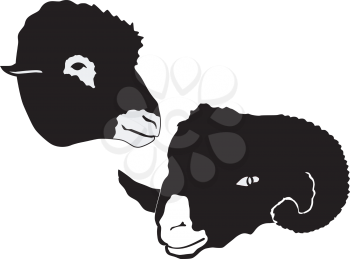 Royalty Free Clipart Image of a Silhouette of a Ram and Sheep